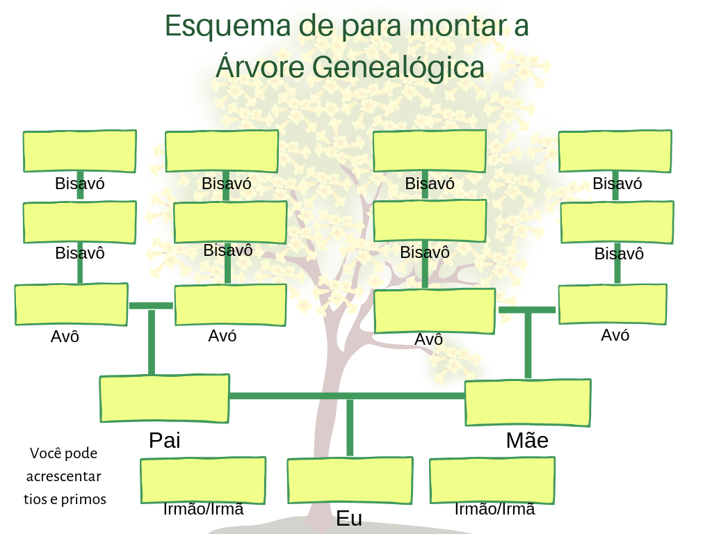 Esquema de árvore genealógica