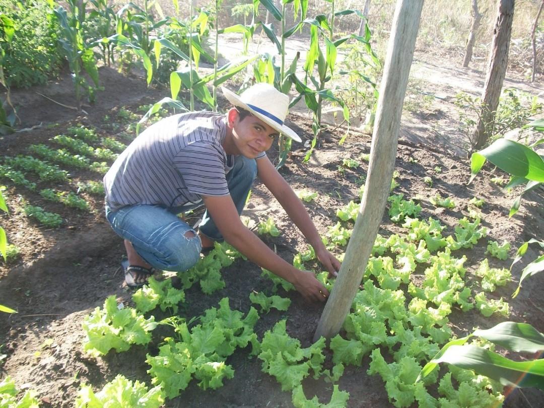 Acolhido trabalha na horta