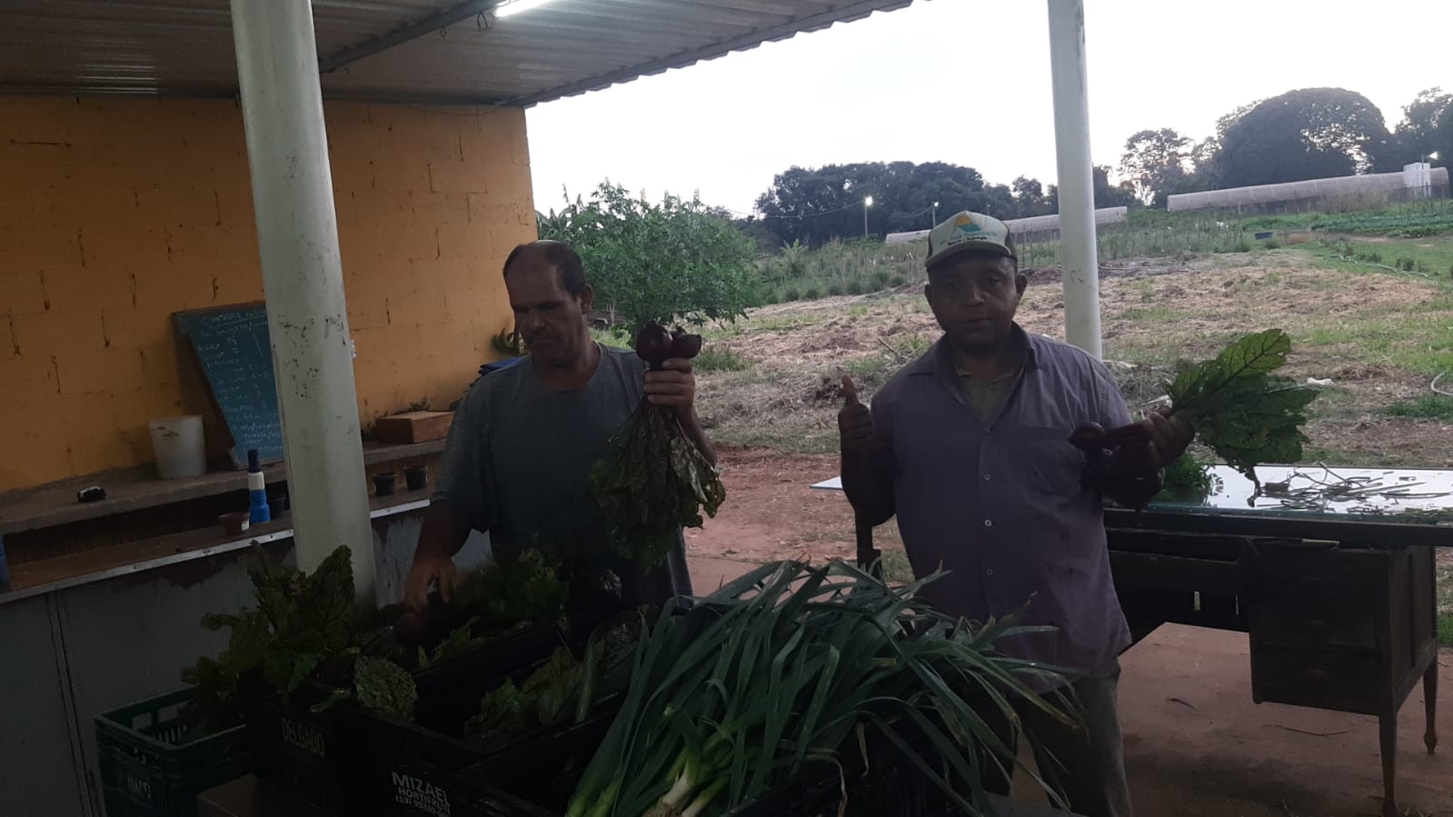 Horta transforma vidas na Casa de Acolhida de Piracicaba.